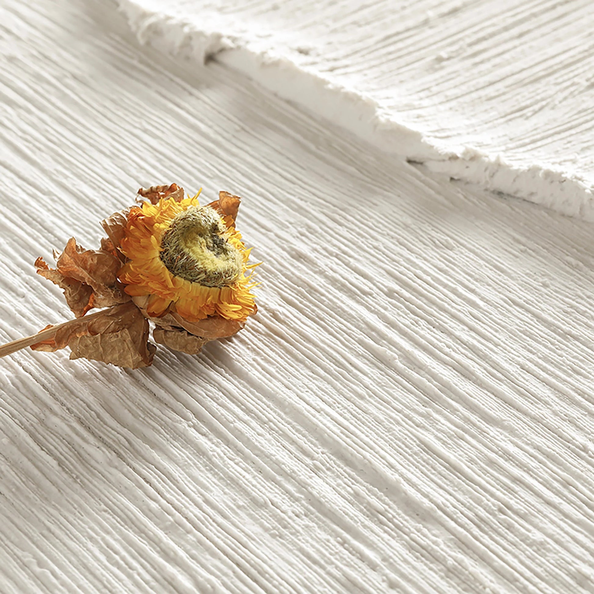 Minimalist beige beach - Naturer Art Gallery